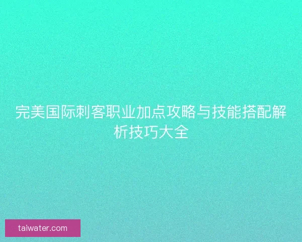 完美国际刺客职业加点攻略与技能搭配解析技巧大全