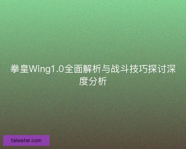 拳皇Wing1.0全面解析与战斗技巧探讨深度分析